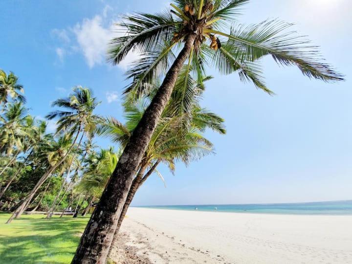 Bed and Breakfast Mami Wata House Kwale Exterior foto